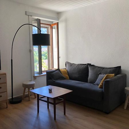 T2 Avec Terrasse Calme Et Ensoleillee Apartment Saint-Claude Ngoại thất bức ảnh